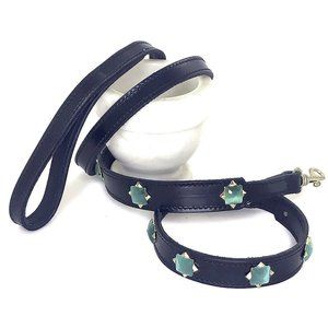 Aquamarine Gemstones & Black Leather Collar & Leash, 14"-17"
